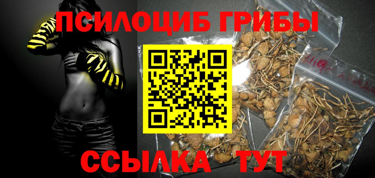 Галлюциногенные грибы Cubensis  Вход с VPN  Галлюциногенные грибы GOLDEN TEACHER  Семёнов 